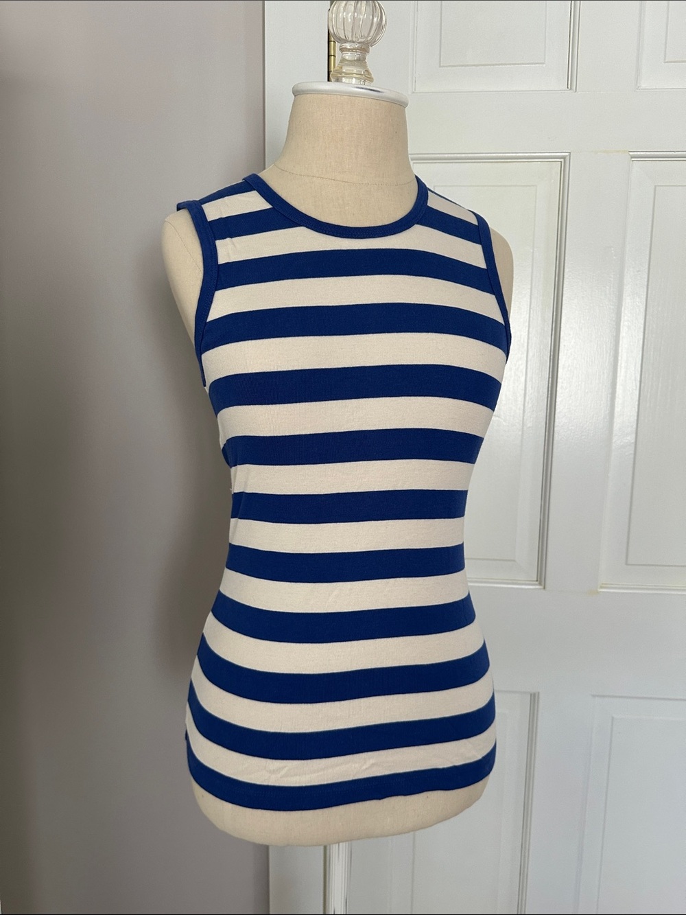 J.Crew Blue and White Striped Tank Top